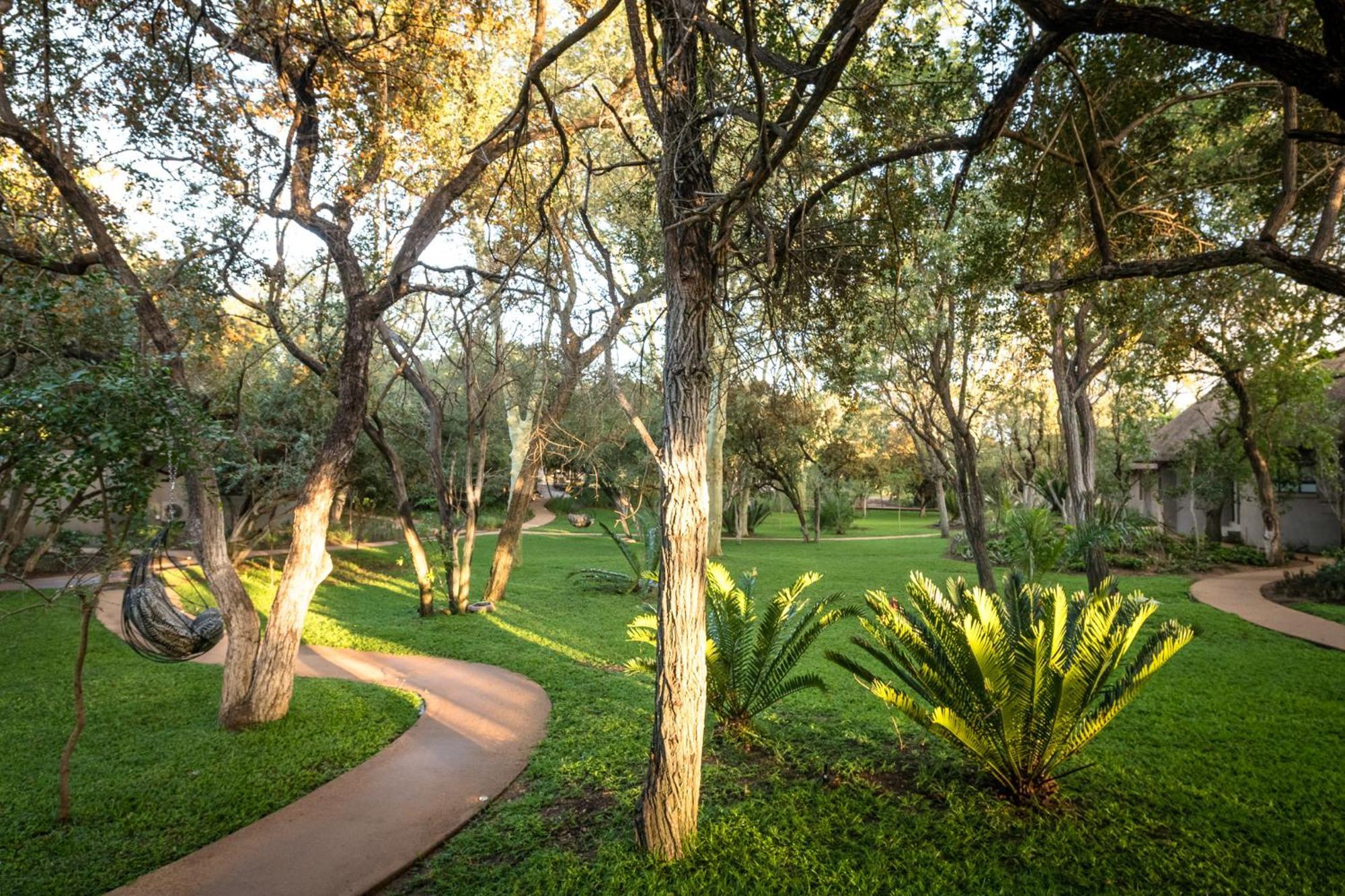Serondella Safari Lodge ソーニーブッシュ・ゲーム・リザーブ エクステリア 写真
