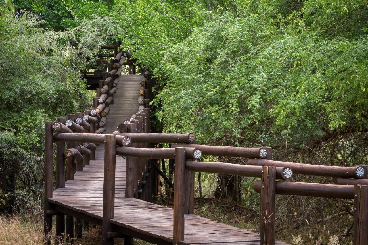 Serondella Safari Lodge ソーニーブッシュ・ゲーム・リザーブ エクステリア 写真